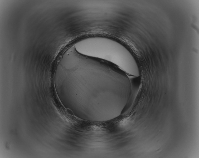 X0000091850496200709261210