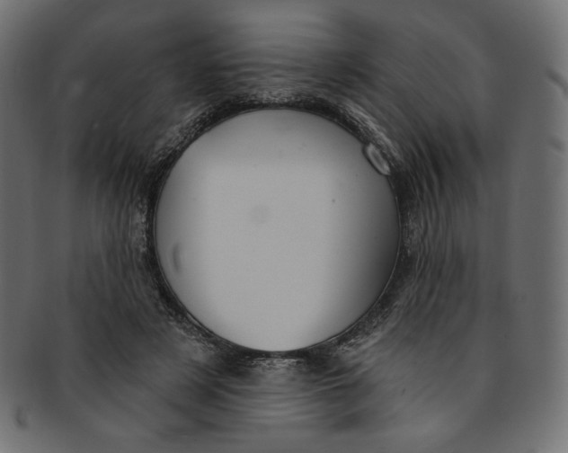 X0000091850497200709261210