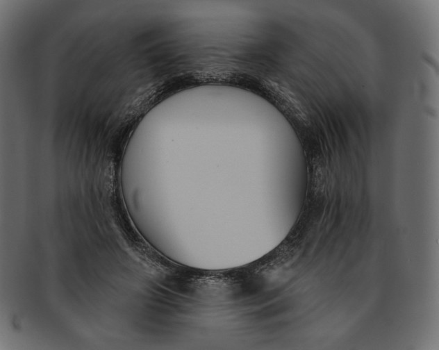 X0000091850498200709261210