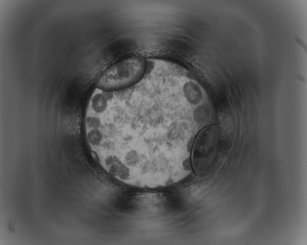 X0000091850499200709261210