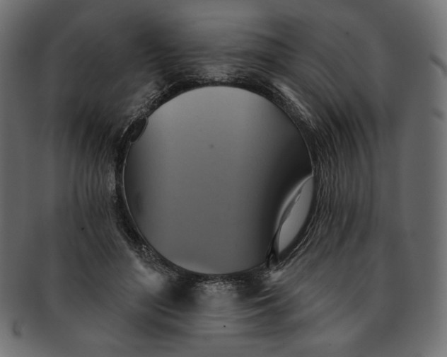 X0000091850500200709261210