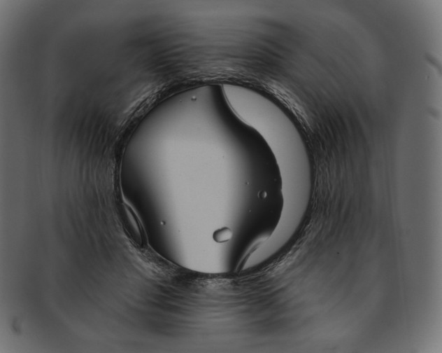 X0000091850501200709261210