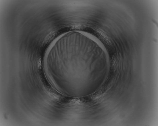 X0000091850502200709261210