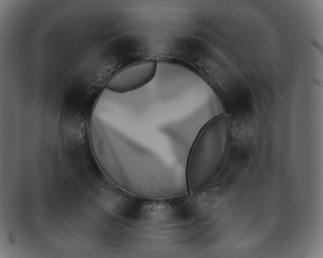 X0000091850503200709261210