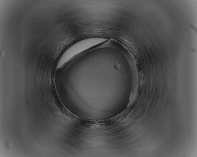 X0000091850504200709261210