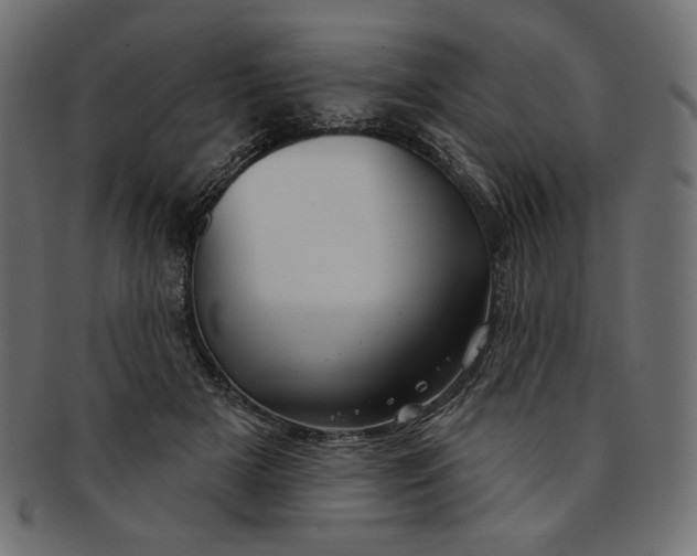 X0000091850505200709261210