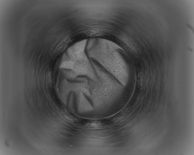 X0000091850506200709261210