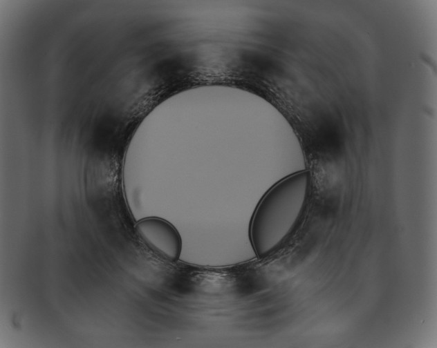 X0000091850507200709261210