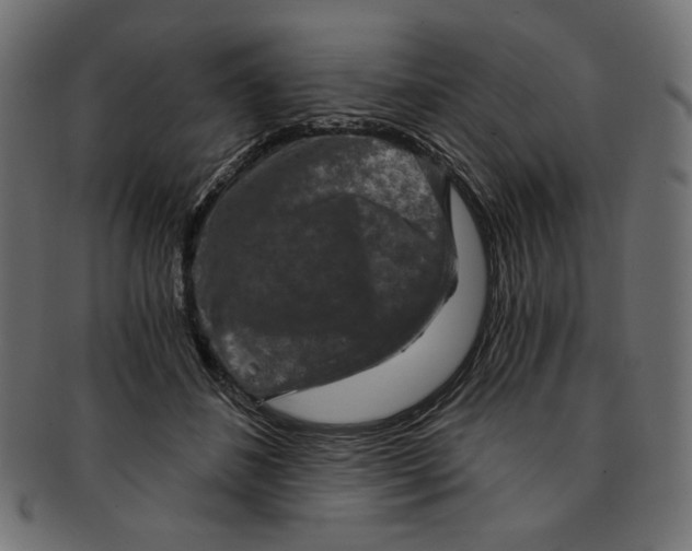 X0000091850508200709261210