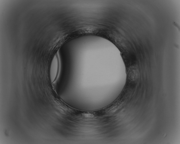 X0000091850509200709261210