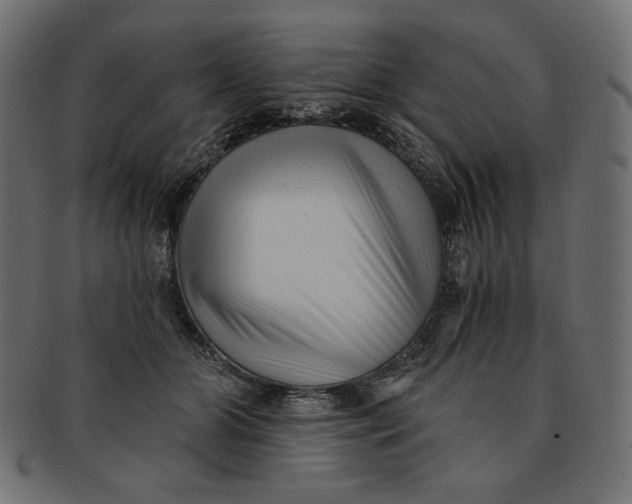 X0000091850510200709261210