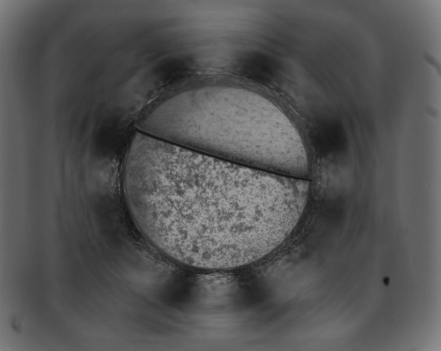 X0000091850511200709261210