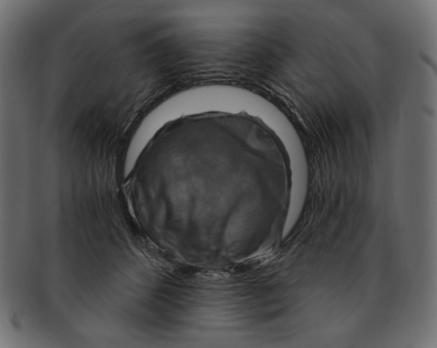 X0000091850512200709261210