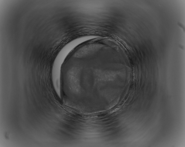 X0000091850513200709261210