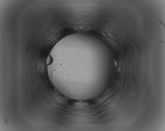 X0000091850515200709261210