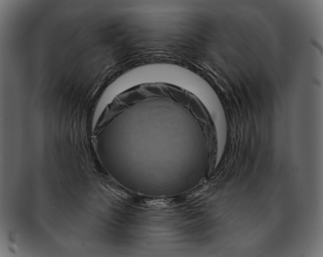 X0000091850516200709261210