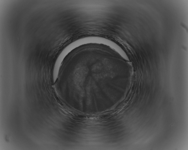 X0000091850517200709261210