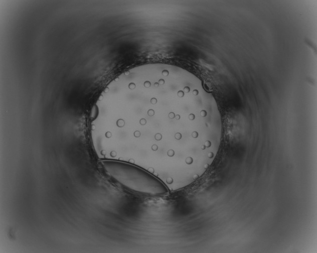 X0000091850519200709261210