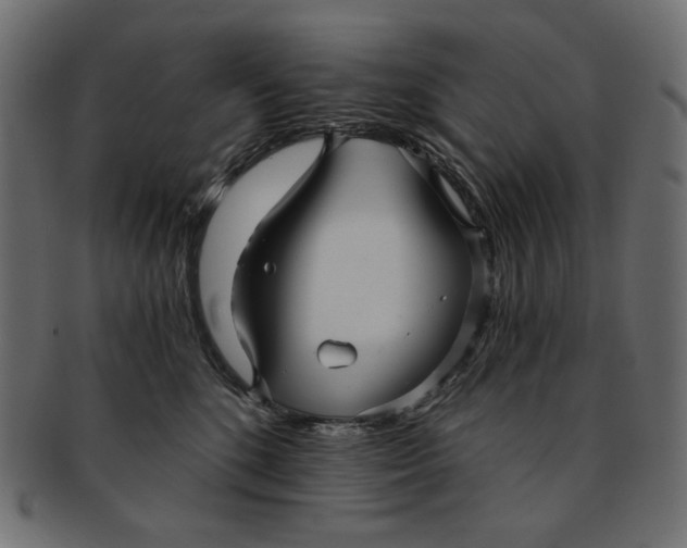 X0000091850520200709261209