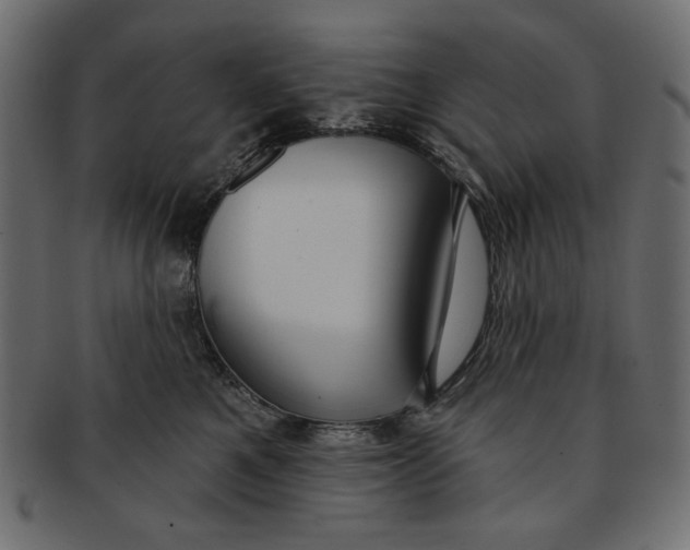 X0000091850521200709261209