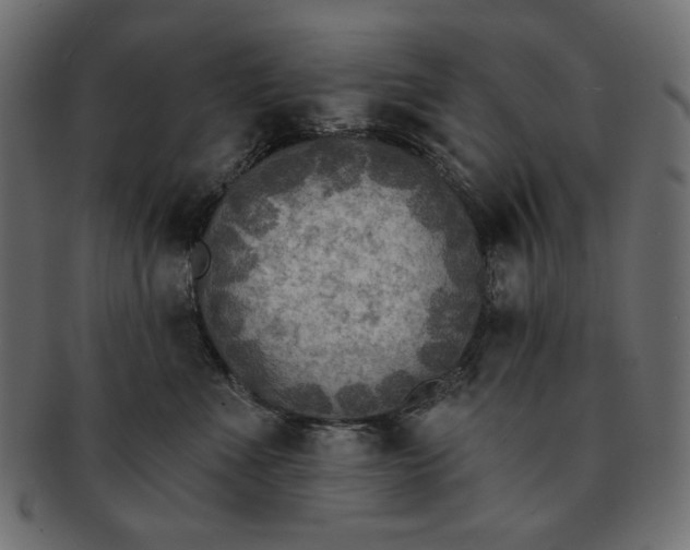 X0000091850523200709261209