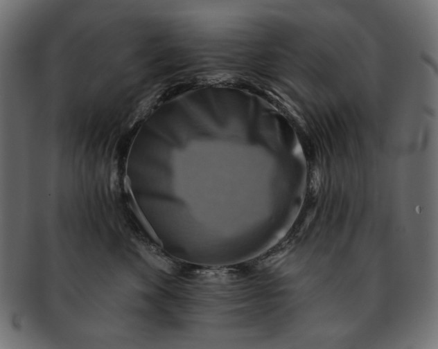 X0000091850524200709261209