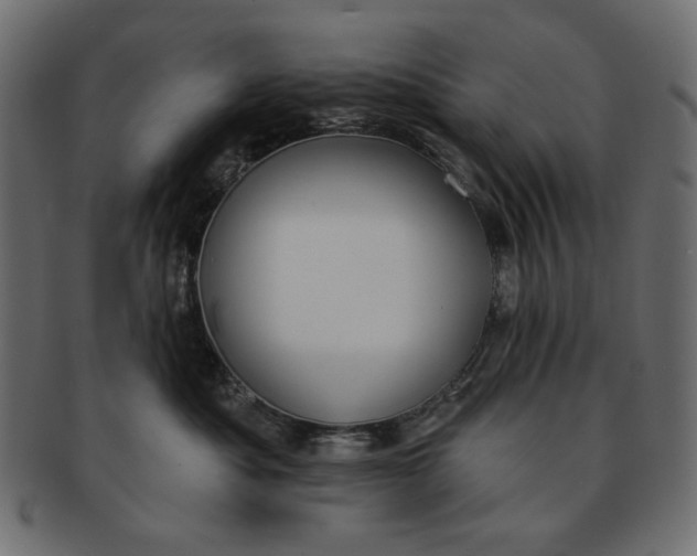 X0000091850525200709261209