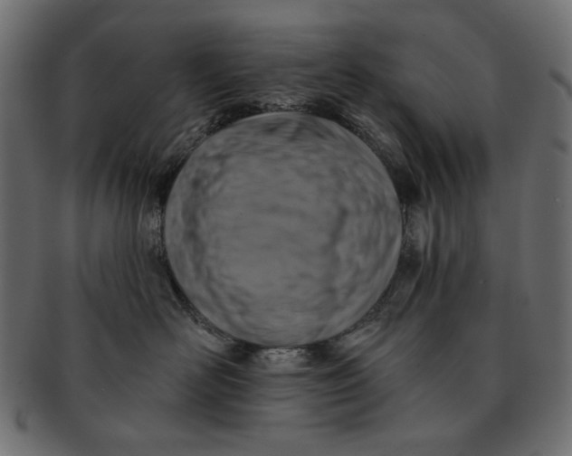 X0000091850526200709261209