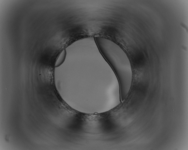 X0000091850527200709261209