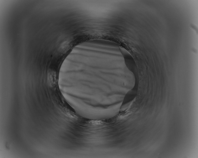 X0000091850528200709261209