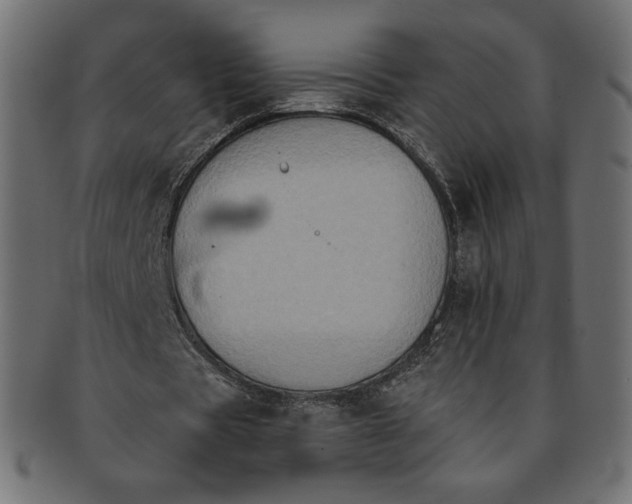 X0000091850529200709261209