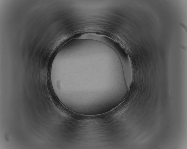 X0000091850530200709261209