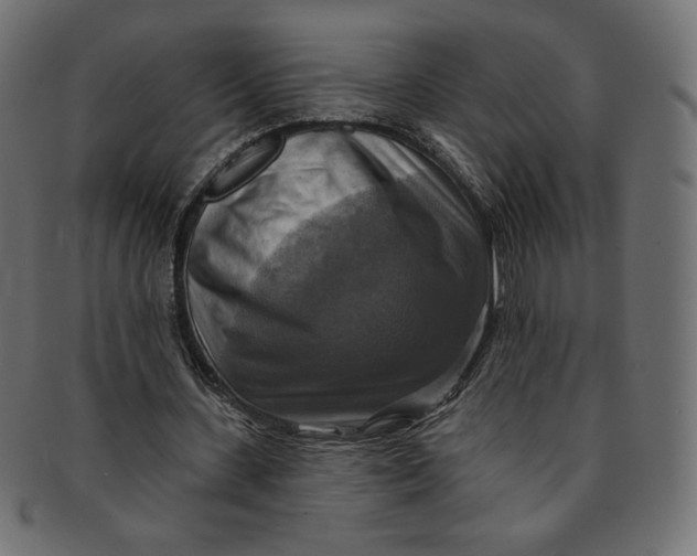 X0000091850531200709261209