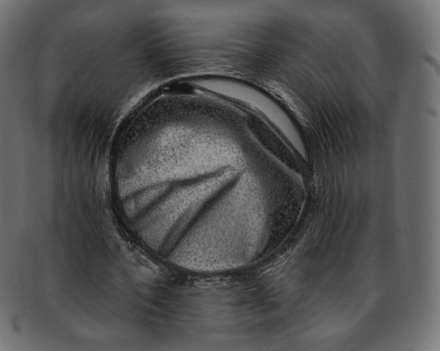 X0000091850532200709261209