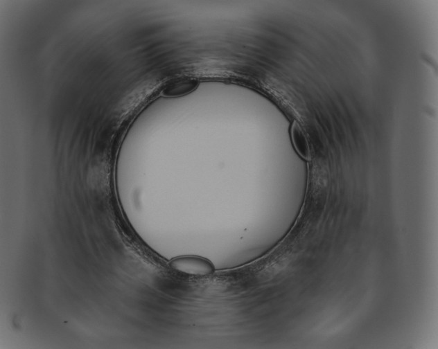 X0000091850533200709261209