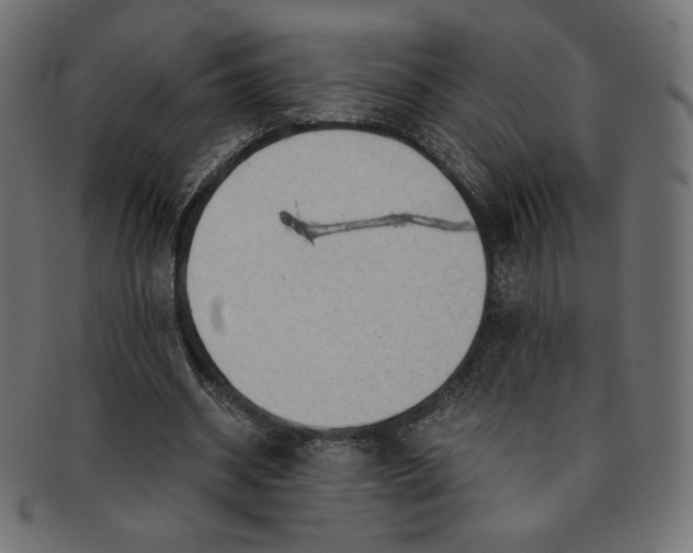 X0000091850534200709261209