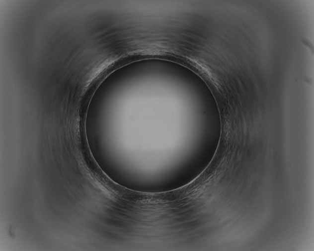 X0000091850535200709261209