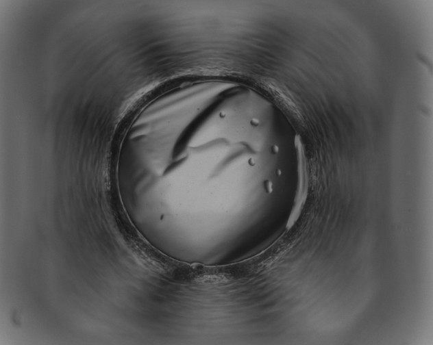 X0000091850536200709261209