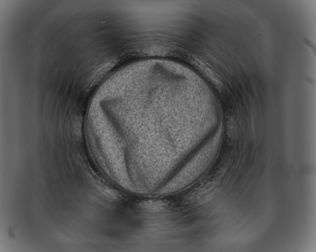 X0000091850537200709261209