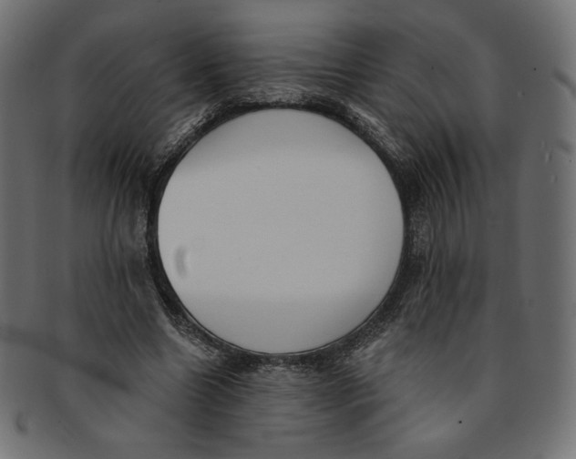 X0000091850538200709261209