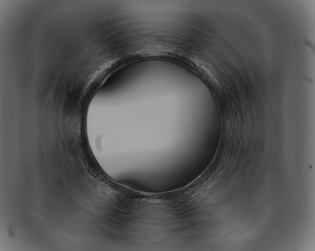 X0000091850539200709261209