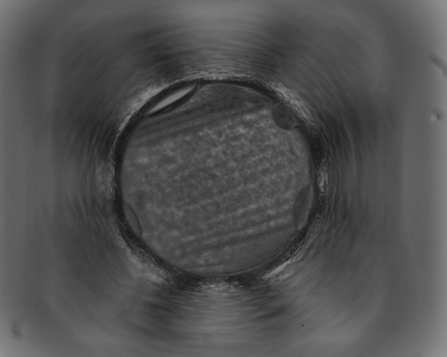 X0000091850540200709261209