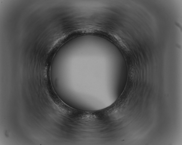 X0000091850543200709261209