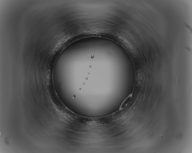 X0000091850544200709261209