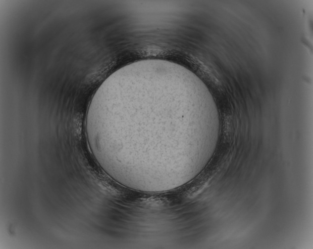 X0000091850545200709261209