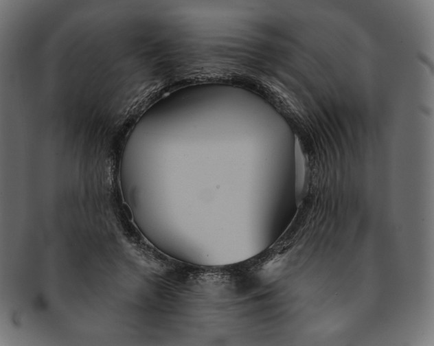 X0000091850546200709261209