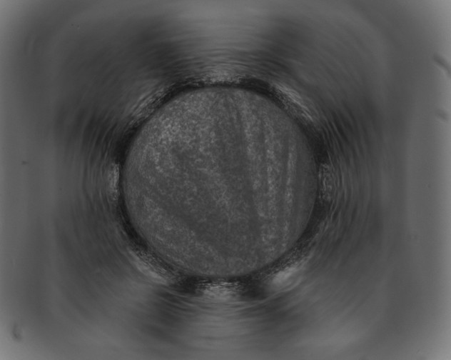 X0000091850550200709261209