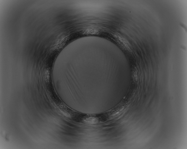 X0000091850551200709261209