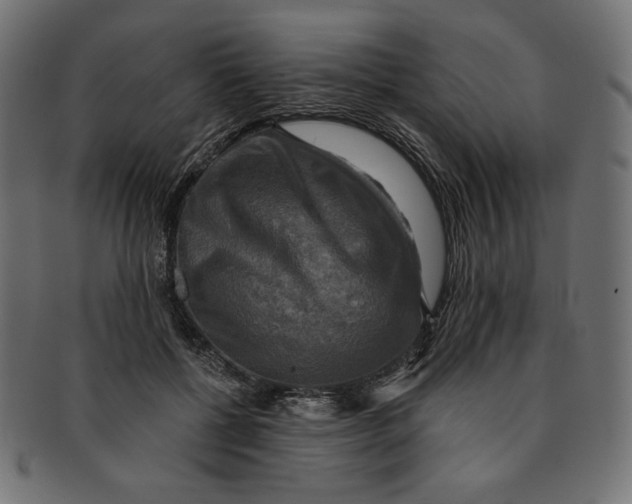 X0000091850552200709261209