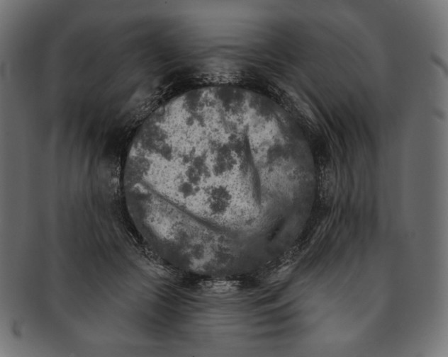 X0000091850553200709261209